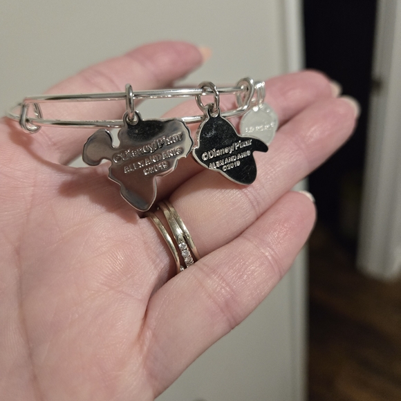 Alex & Ani Wall-E & Eve Bracelet NWOT - Picture 3 of 3